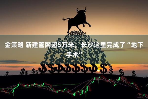 金策略 新建管网超5万米，长沙这里完成了“地下手术”