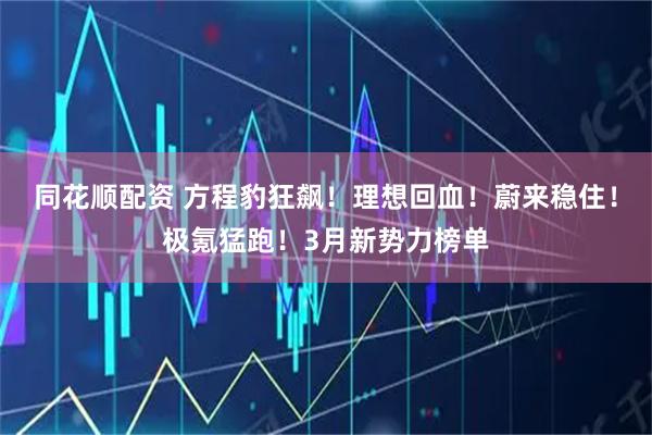 同花顺配资 方程豹狂飙！理想回血！蔚来稳住！极氪猛跑！3月新势力榜单