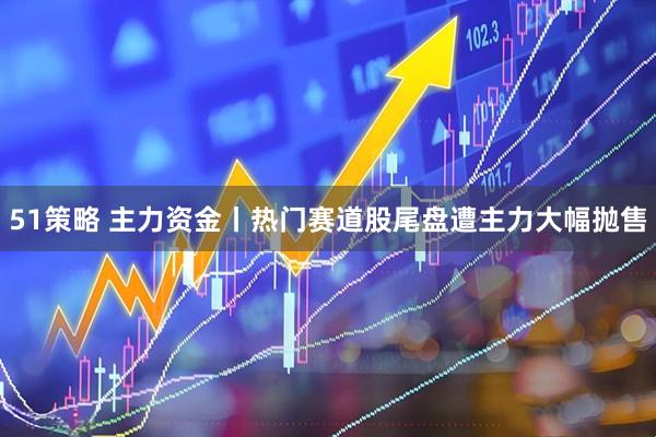 51策略 主力资金丨热门赛道股尾盘遭主力大幅抛售