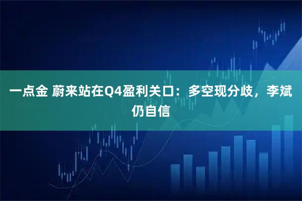 一点金 蔚来站在Q4盈利关口：多空现分歧，李斌仍自信