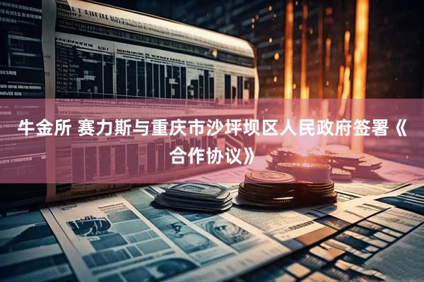 牛金所 赛力斯与重庆市沙坪坝区人民政府签署《合作协议》