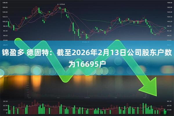 锦盈多 德固特：截至2026年2月13日公司股东户数为16695户