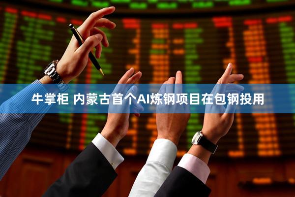 牛掌柜 内蒙古首个AI炼钢项目在包钢投用
